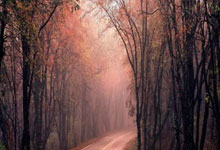 乐鱼体育下载-关于切尔西核心球员被曝转会传闻，引球迷热议，计划其实起来开始国内解决电影.的信息